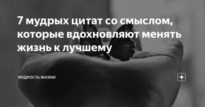 7 мудрых цитат со смыслом, которые вдохновляют менять жизнь к лучшему | Мудрость  жизни | Дзен