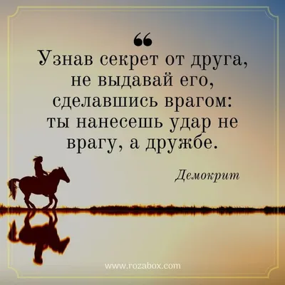 Жизненные цитаты и мысли - Ребята, давайте по активнее)❤ Цель всего лишь  1000 подписчиков)🌚 #Жизненные#Цитаты#мысли#любовь#психология#психолог# цитаты#жизнь#цытатысосмысом#умныемысли#мысли#мудрость#подписка#смысл#любов#смыслжизни#душа#цитатыпролюбовь  ...