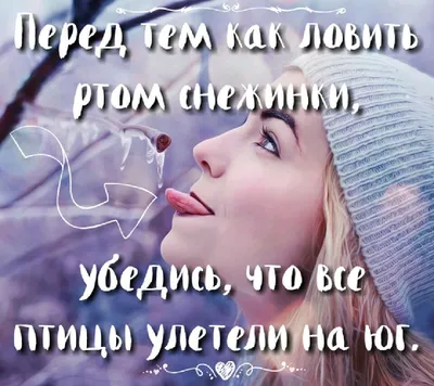 цитата #юмор #зима #открытка #смешно #птицы