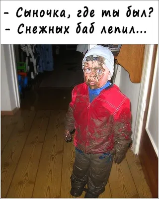 Зима Юмор Картинки