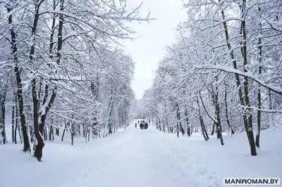 картинки : снег, зима, девушка, белый, весна, Погода, блондинка, время  года, обувь, метель, Замораживание, голубые глаза, Фейри, зимняя буря  3888x2592 - - 1052807 - красивые картинки - PxHere