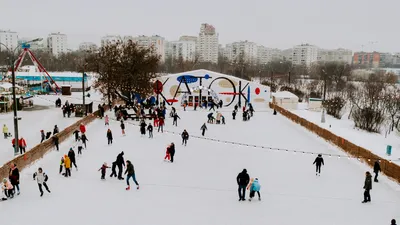 зимний пейзаж на рождественском вечере векторный баннер милые зимние чудеса  в городе с счастливыми детьми, которые садились и игра Иллюстрация штока -  иллюстрации насчитывающей сосенка, приполюсно: 260287821