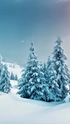 1440x2560 Winter Wallpapers for Google Pixel XL, Meizu Pro 7, Nokia 8, HTC  U, Huawei P10 Quad HD