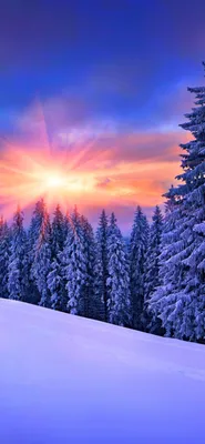 Winter Sunshine Wallpaper for iPhone 11