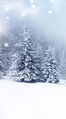 Desktop Wallpapers Winter Spruce Nature Snow Trees 1080x1920