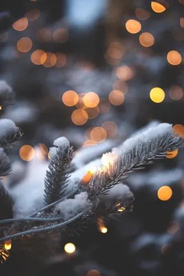 author unknown // aesthetic wallpaper iphone christmas wallpaper iphone  wallpaper iphone 12 wallpaper iphone 11 wa… | Зимние картинки, Фоновые  рисунки, Зимние сцены