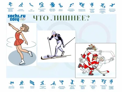 Плакат. Английский язык. Зимние виды спорта. Winter sport. (5255638) -  Купить по цене от 148.00 руб. | Интернет магазин SIMA-LAND.RU