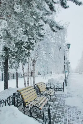 Обои зима в городе - 61 фото