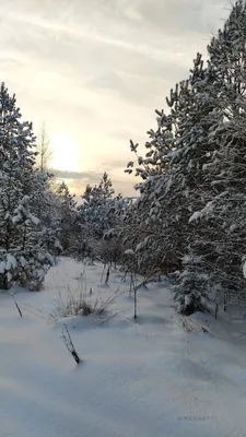 Winter foto | Живописные пейзажи, Пейзажи, Фото фоны