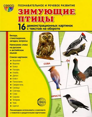 Картотека предметных картинок. Выпуск 9. \"Домашние, перелетные, зимующие  птицы\" - купить в интернет-магазине Игросити