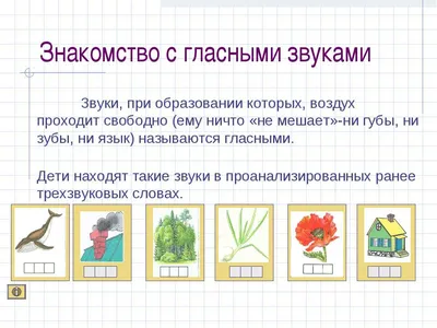 Комплект на магнитах фонетика карточки на магнитах - купить в интернет  магазине с доставкой по России